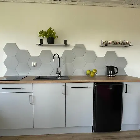 住宿加早餐酒店 Goscinne U Hanki 3*