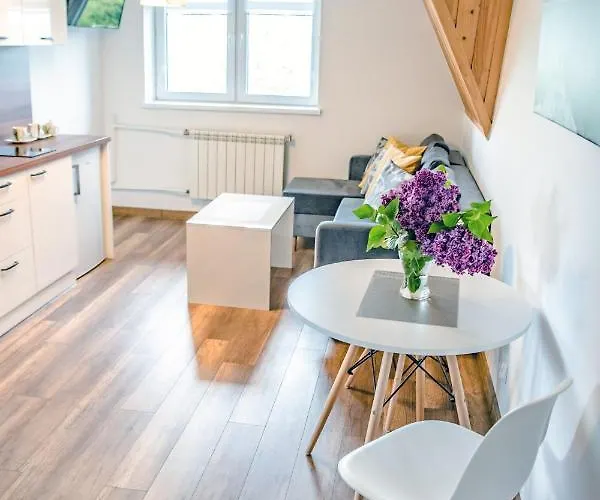 Nocleg ze śniadaniem Gościnne U Hanki Bukowina Tatrzańska